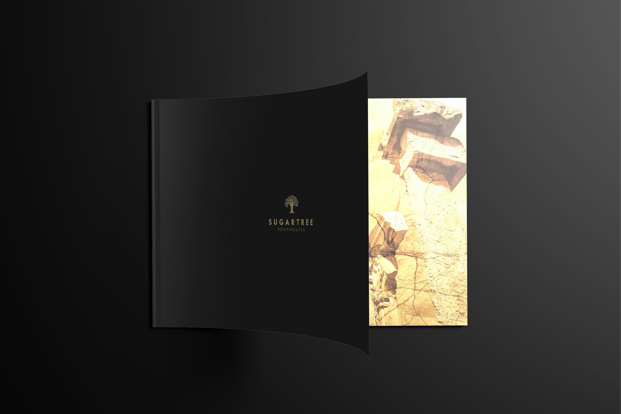 Sugartree 1